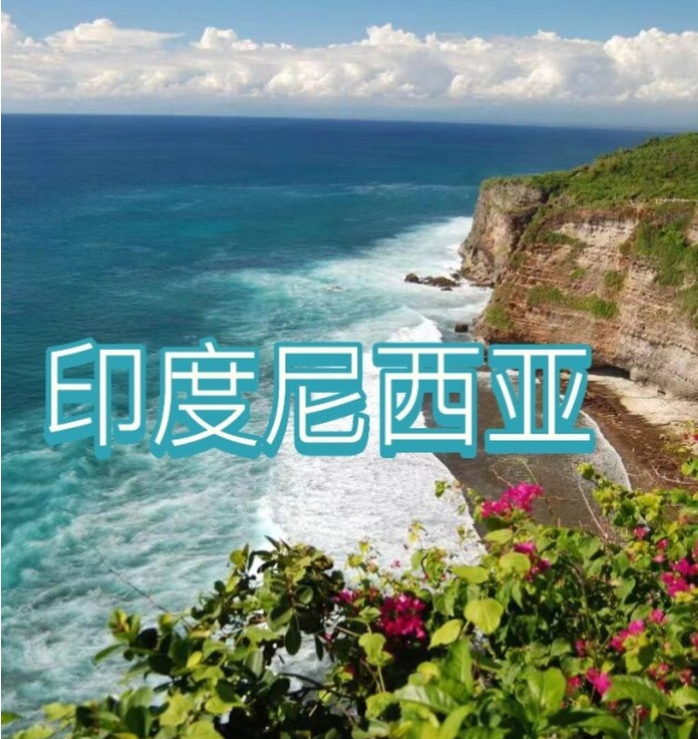 国国际电商(印尼)产业博览会不朽情缘mg网址2025中(图3) 国国际电商(印尼)产业博览会不朽情缘mg网址2025中(图3)