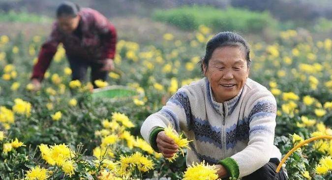 火热”而中国的幸福指数却高居全球之首不朽情缘众多发达国家民众正身陷“水深(图22)